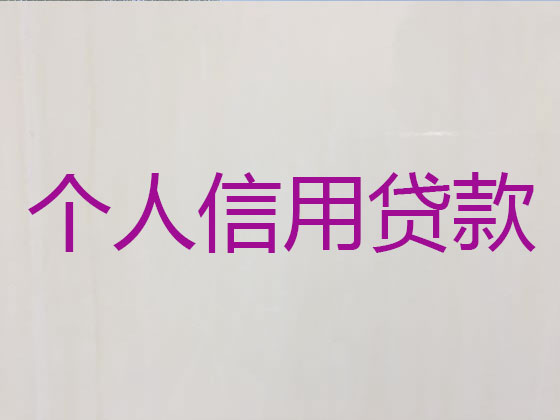 鹤山市本地贷款公司